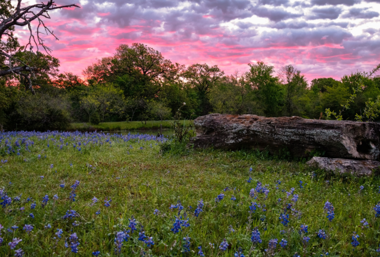 Leander Tomorrow Future Land Use Leander Today Growth and Development The Cummings Team Pure Realty Real Estate Texas