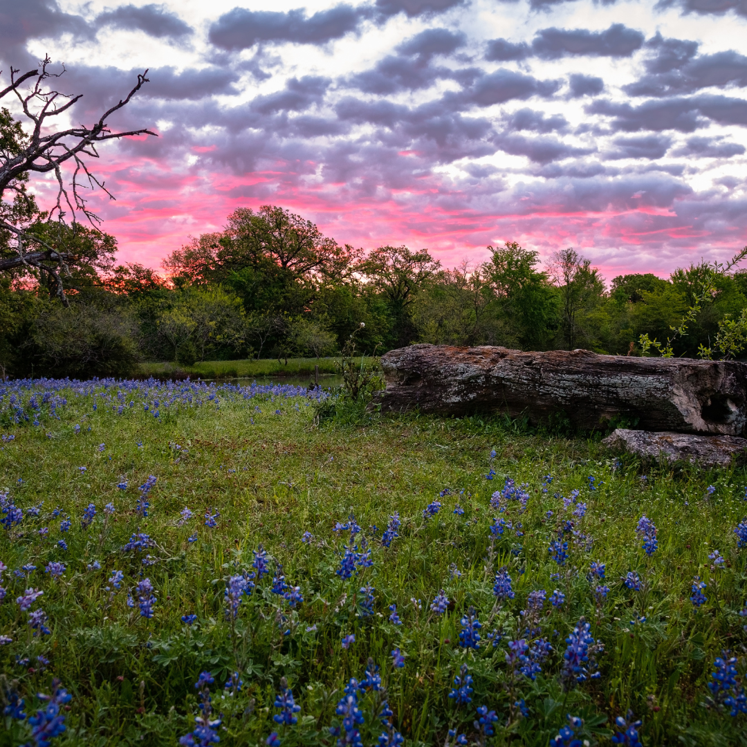 Leander Tomorrow Future Land Use Leander Today Growth and Development The Cummings Team Pure Realty Real Estate Texas