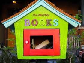 Little Free Libraries In Cedar Park And Leander - Library Locations - The Cummings Team - Pure Realty - Leander Today - Real Estate - Texas