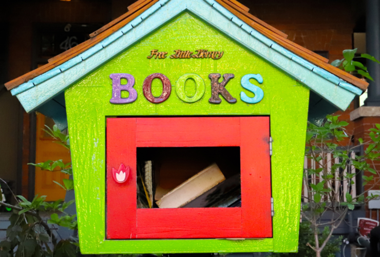 Little Free Libraries In Cedar Park And Leander - Library Locations - The Cummings Team - Pure Realty - Leander Today - Real Estate - Texas