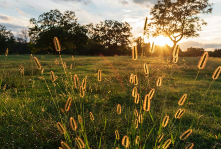 Leander Ranks #2 On List Of The Country's 10 Most Popular Zip Codes - Texas - Real Estate - The Cummings Team - Pure Realty - Leander Today