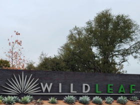 Neighborhood Spotlight Wildleaf -Community - Homes in Leander Texas - The Cummings Team - Pure Realty - Leander Today - Real Estate - Texas