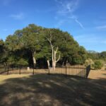 Larkspur Parkland Renamed To Fisk Cashion Park - Leander - Leander Real Estate - Austin Real Estate - Leander Today - Pure Realty - The Cummings Team