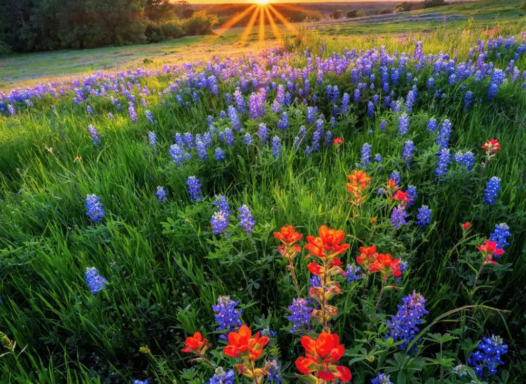 Fun Events To Kick Off Summer In Leander, TX