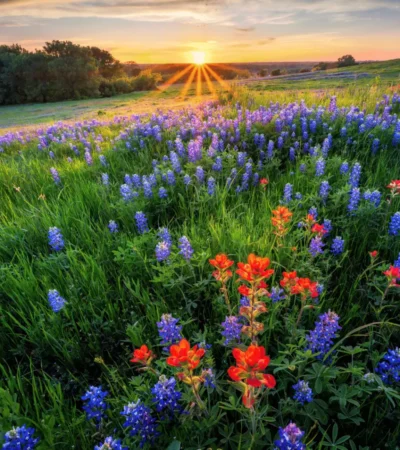 Fun Events To Kick Off Summer In Leander, TX