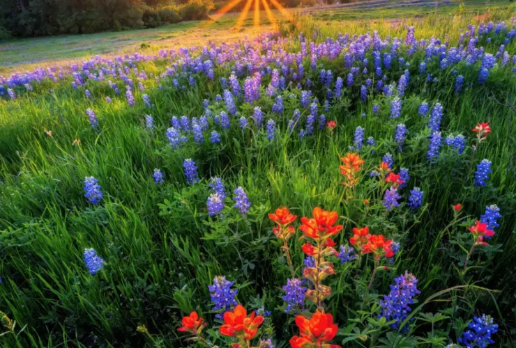Fun Events To Kick Off Summer In Leander, TX