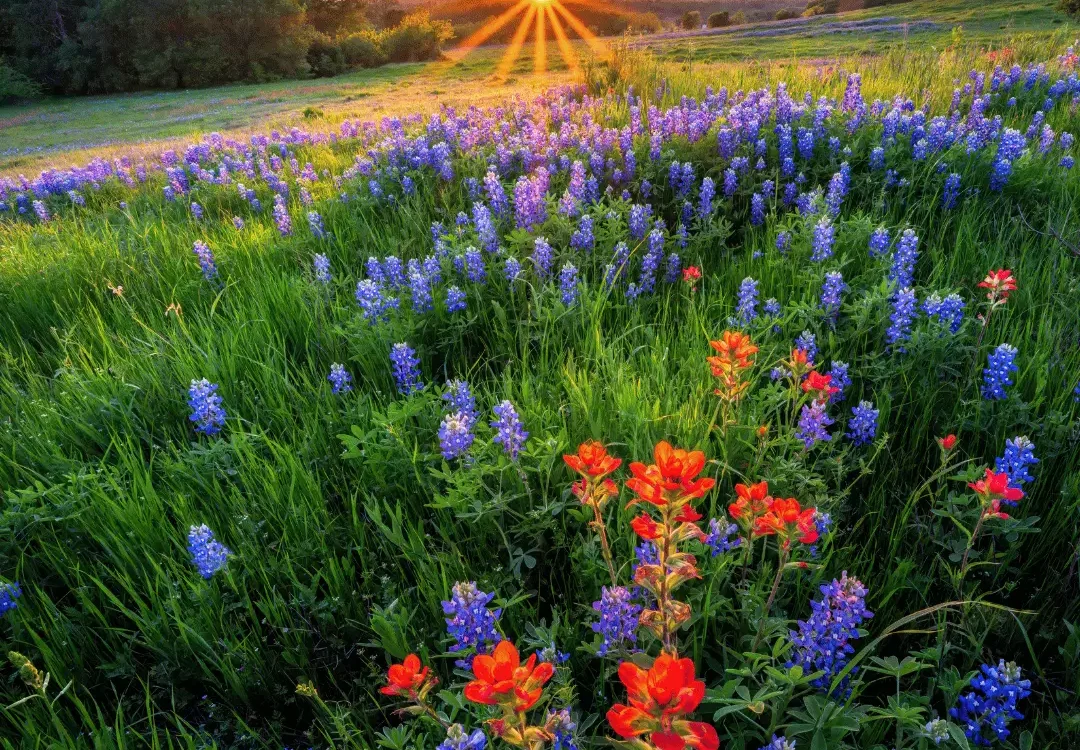Clearwater Ranch in Liberty Hill, TX: Space, Hill Country Views, and Refined Country Living