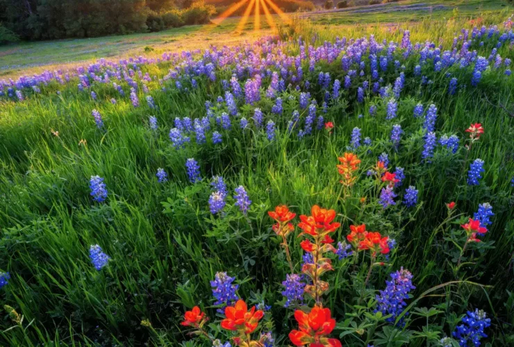 Clearwater Ranch in Liberty Hill, TX: Space, Hill Country Views, and Refined Country Living