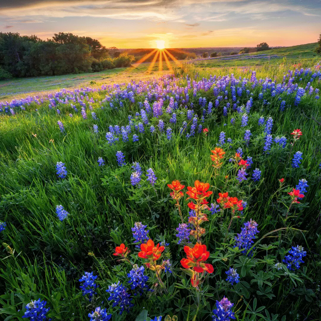 Clearwater Ranch in Liberty Hill, TX: Space, Hill Country Views, and Refined Country Living